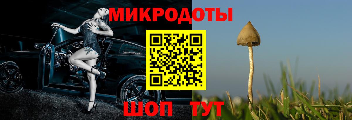 Иваново  Псилоцибиновые грибы Psilocybine cubensis  Вход с VPN  Псилоцибиновые грибы мухоморы 