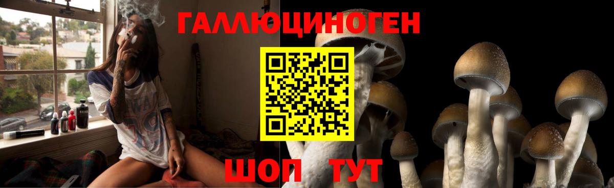 Псилоцибиновые грибы Psilocybine cubensis Иваново